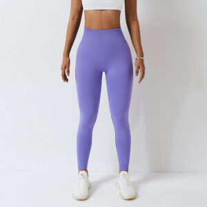 Seamless Leggings